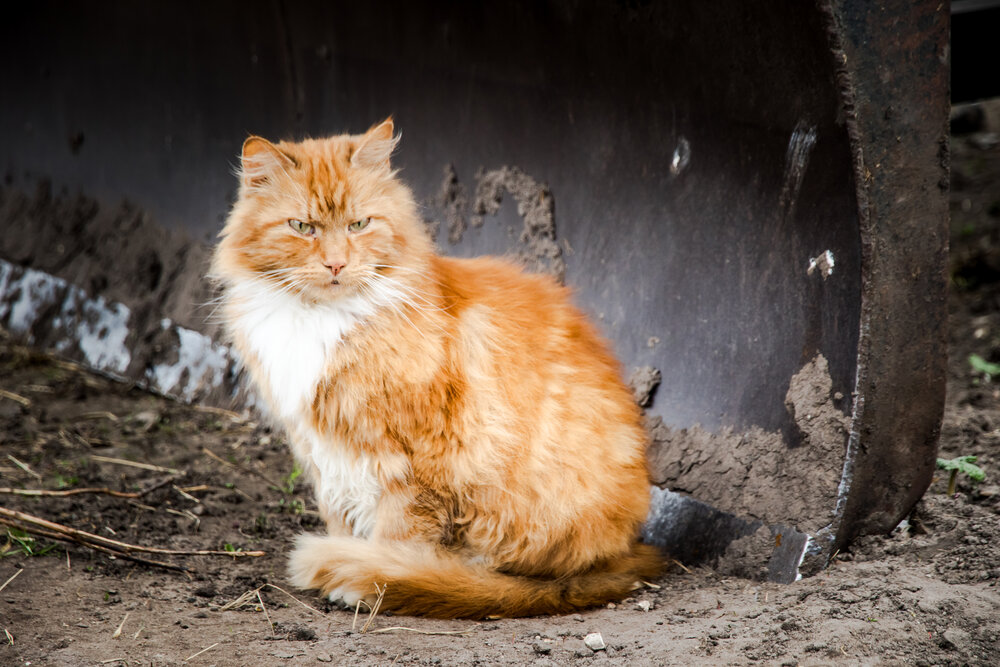 Photograph by Igors Rostikovs
