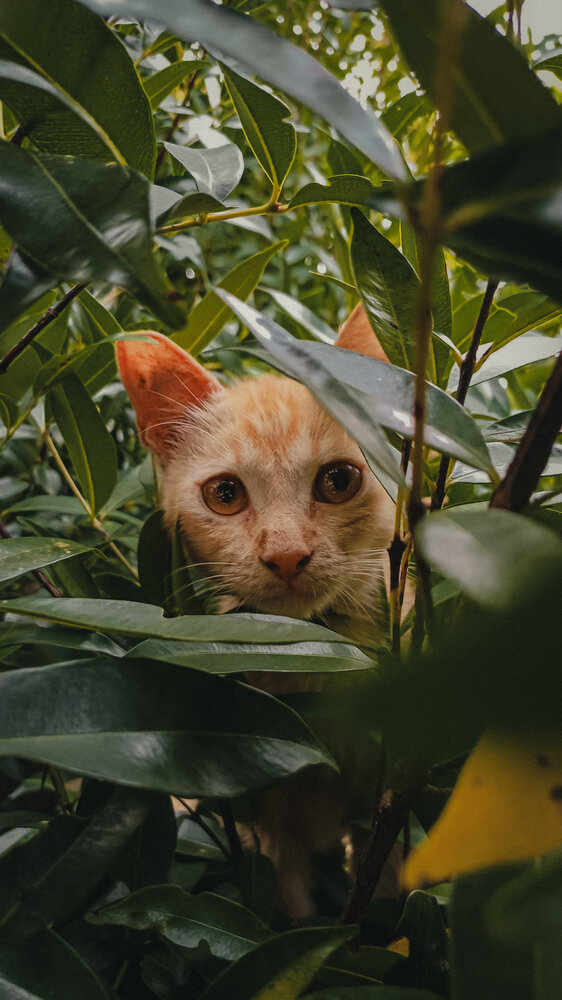 Photograph by Duta Kharisma