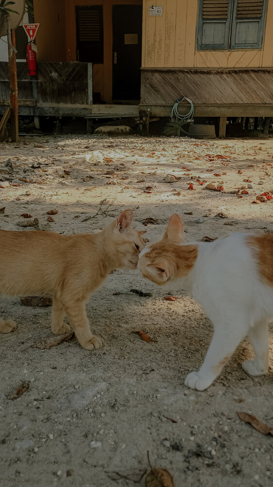 Photograph by Duta Kharisma