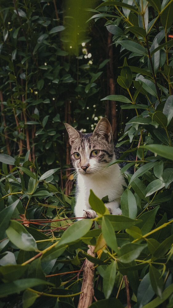 Photograph by Duta Kharisma
