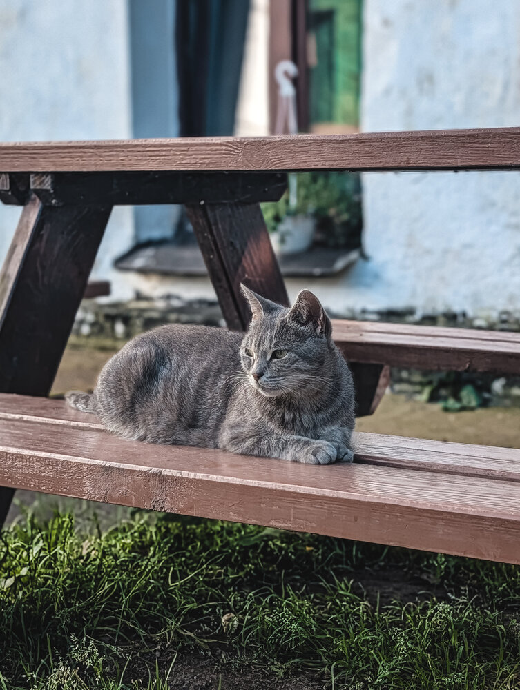 Photograph by Андрей Амбеталь