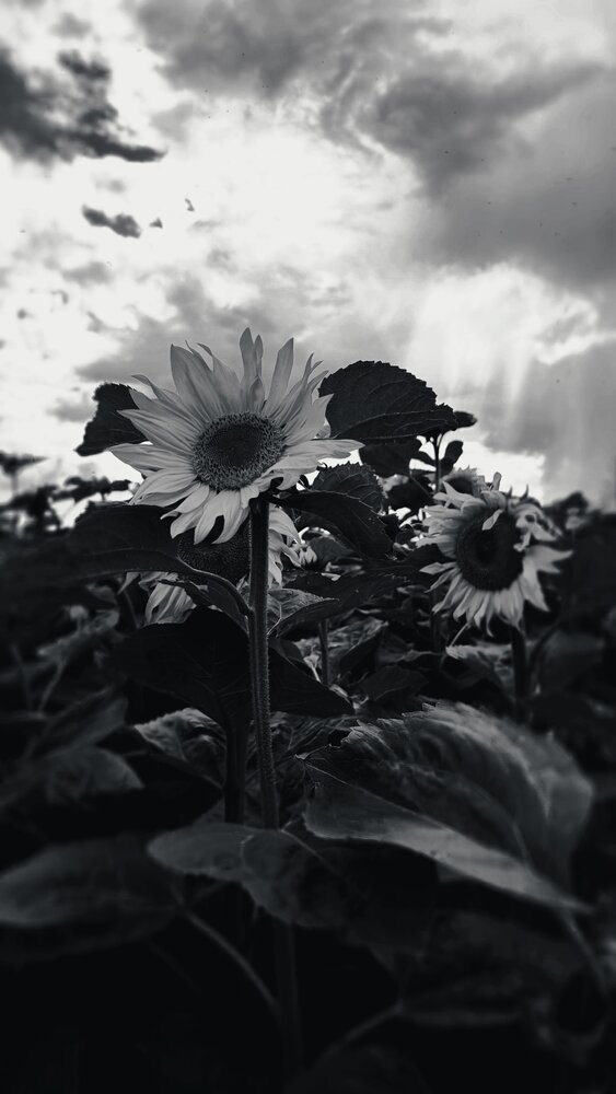 Photograph by Christina Oleshkevich