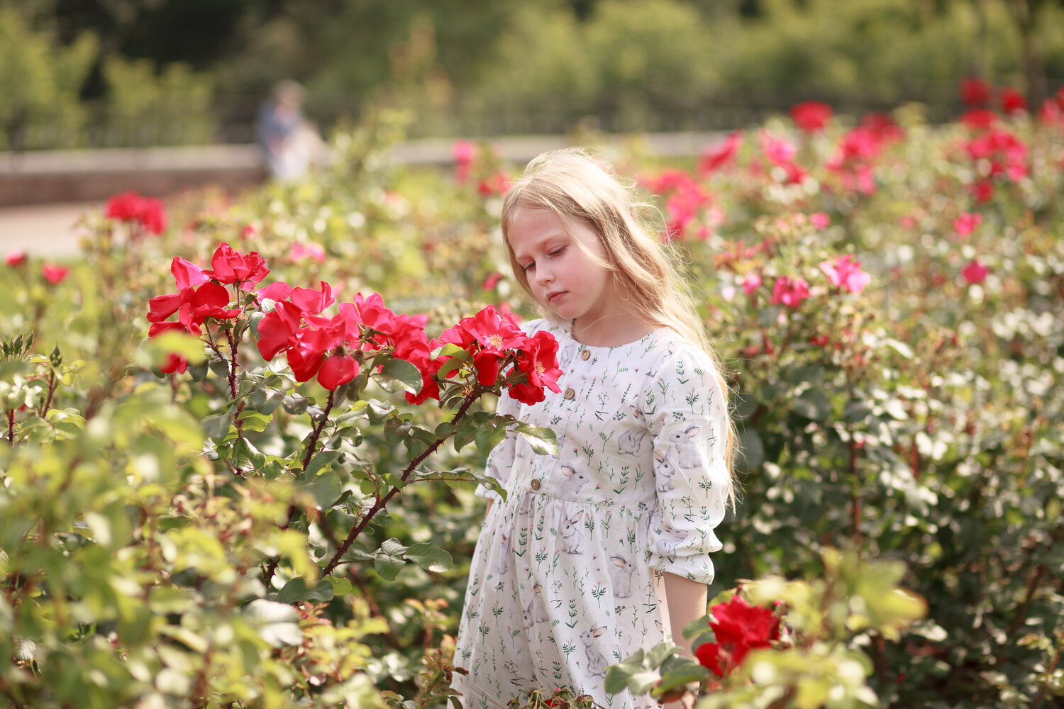 Photo #14053201