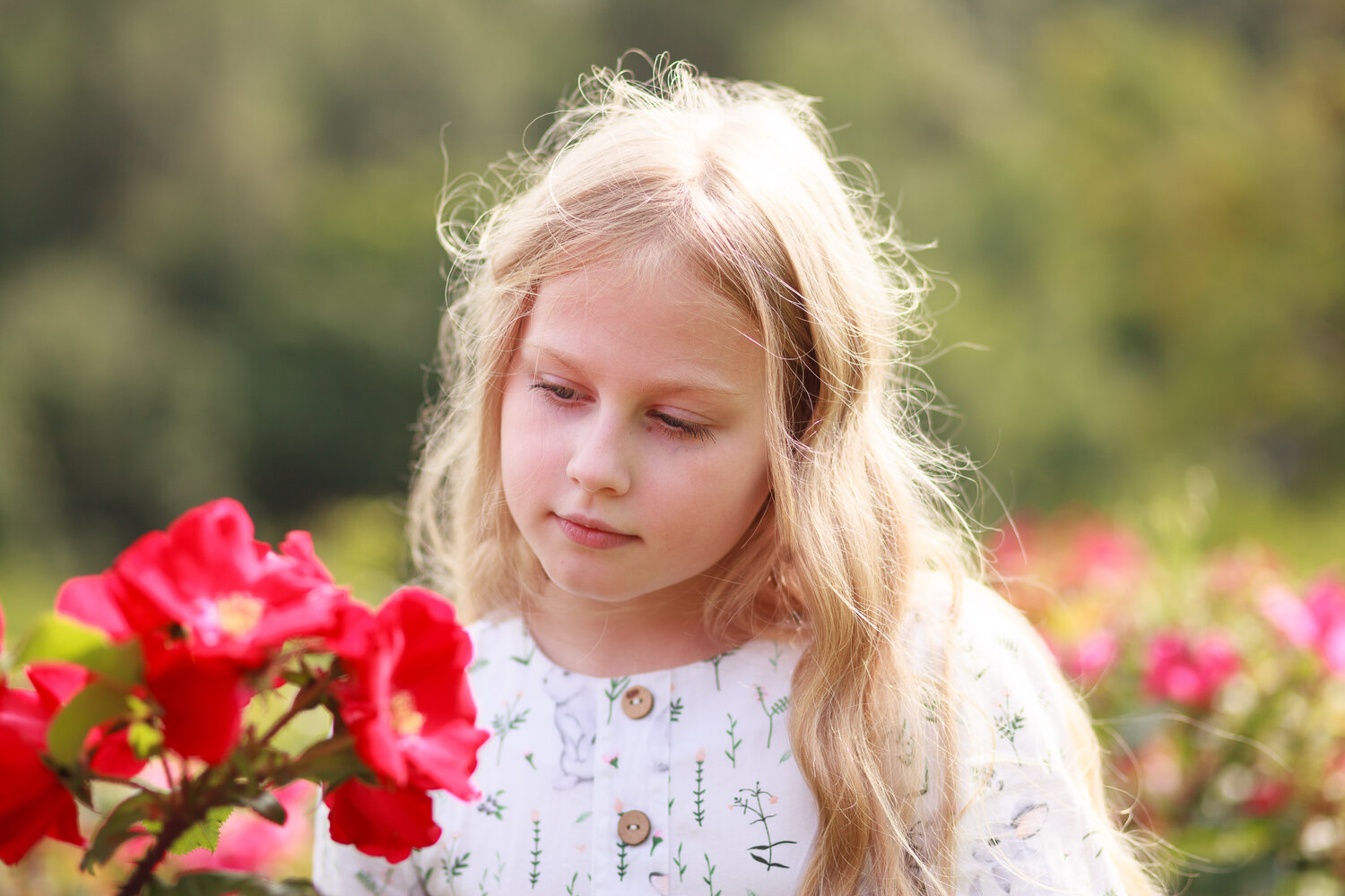Photo #14053204