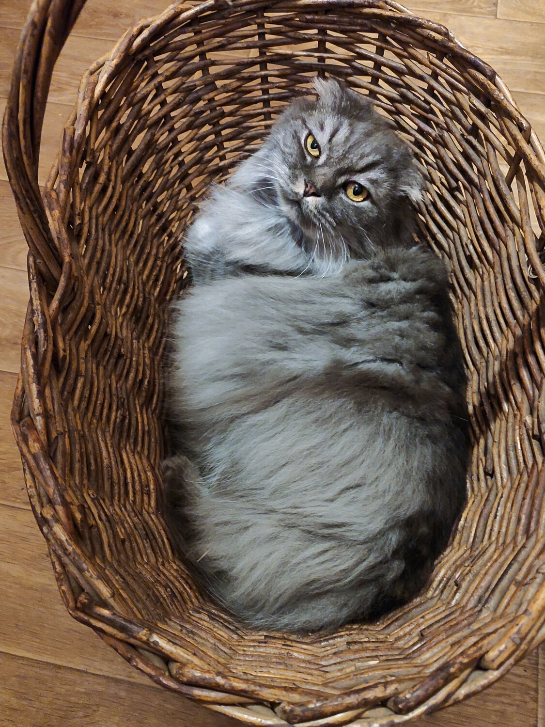 Photo #14053239