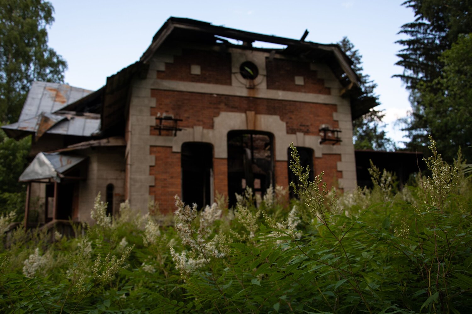Photo #14053271