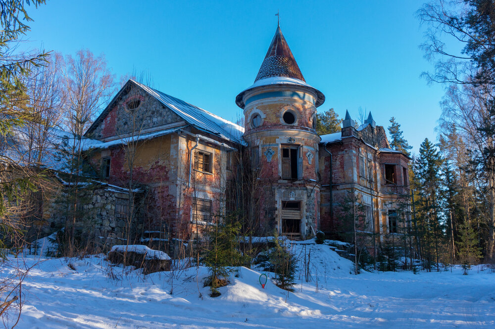 Photo #14053273