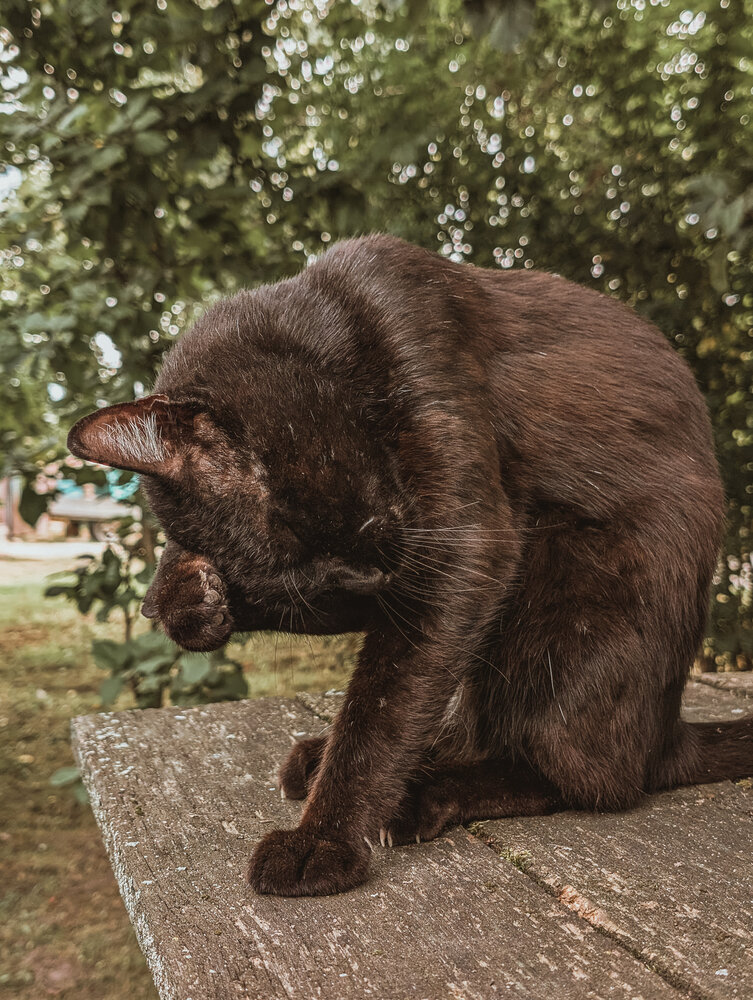 Photograph by Наталья Горовых