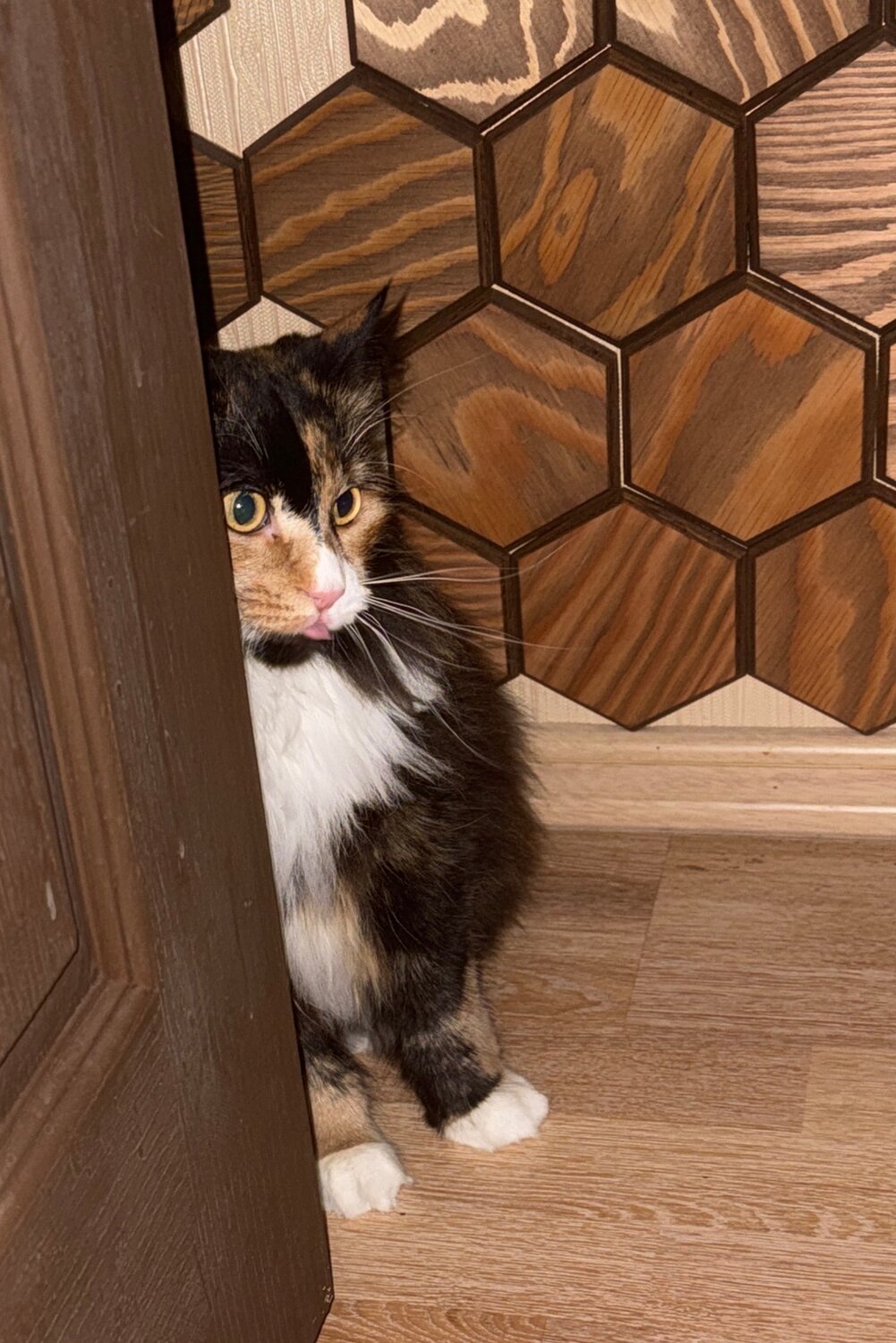 Photo #14053378