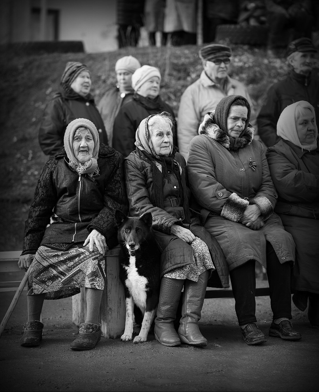 Photo #14053482