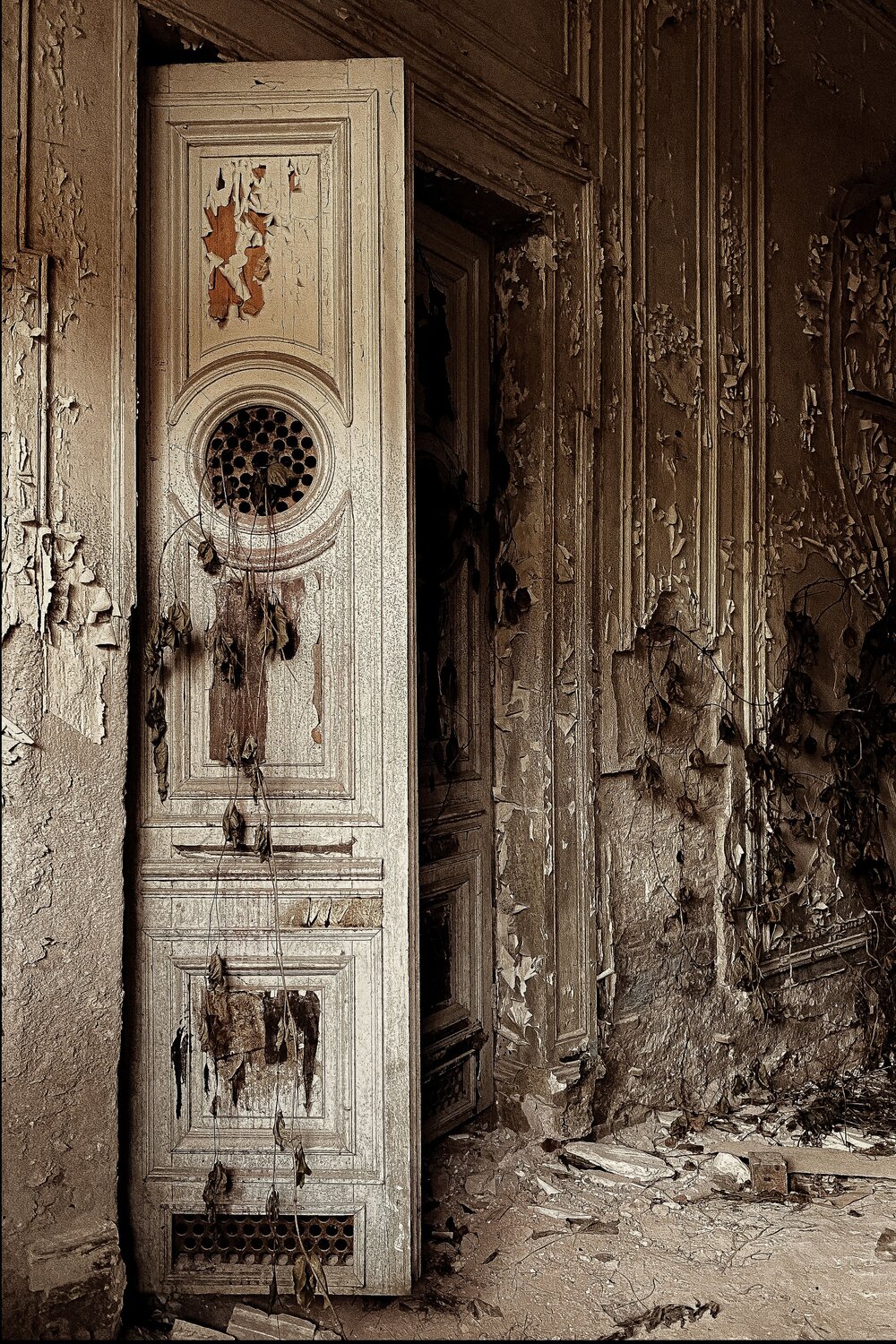 Photo #14053544