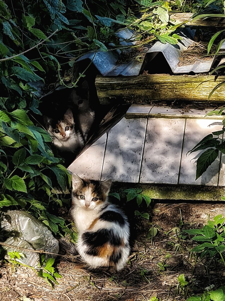 Photograph by Екатерина Народицкая
