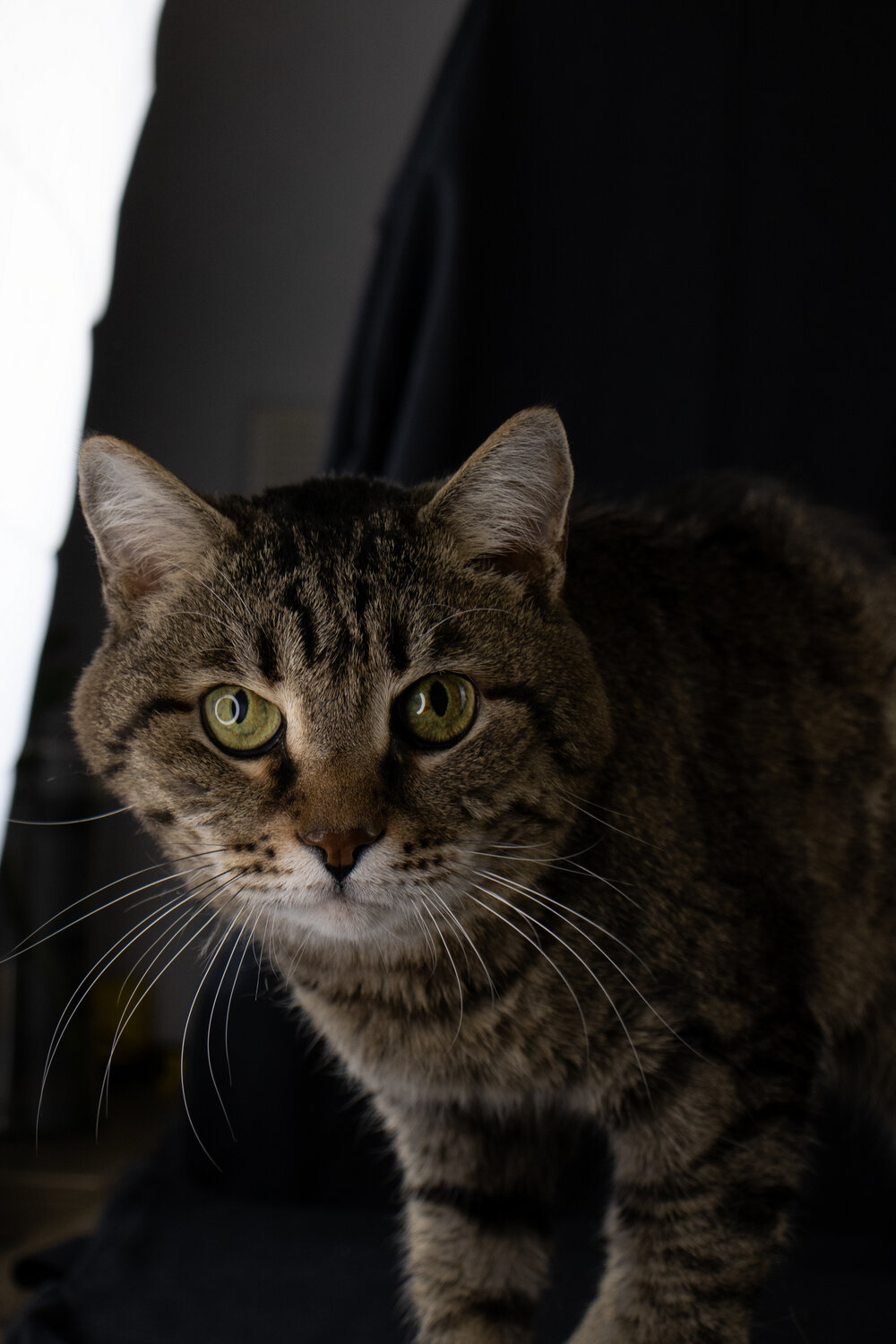 Photo #14053570