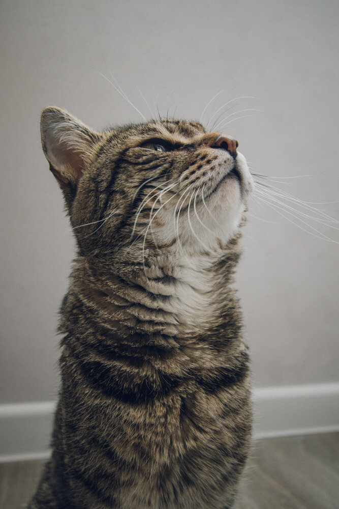 Photo #14053572