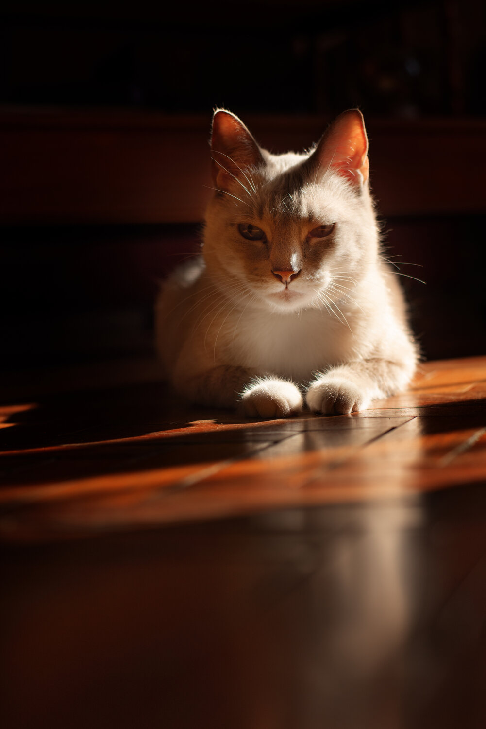 Photo #14053628