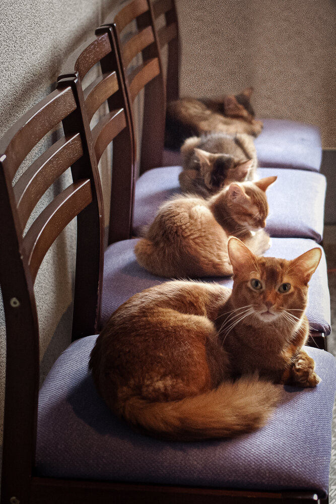 Photograph by Ольга Калимулина