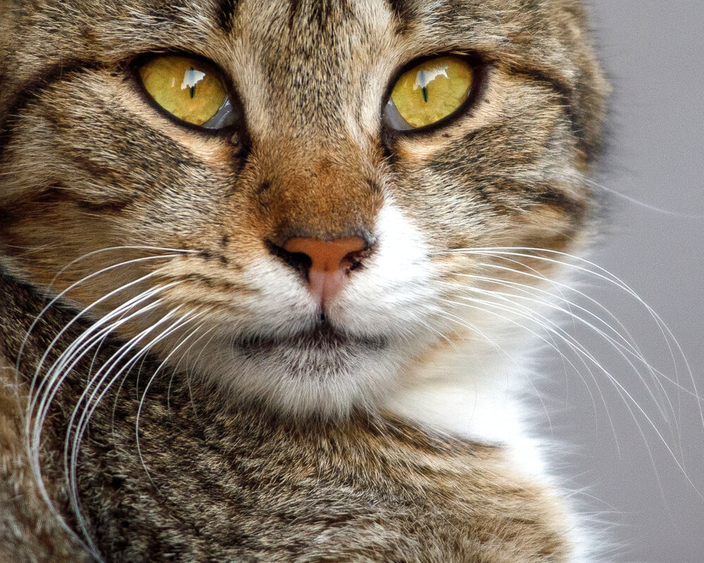 Photograph by Тоцкий Михаил