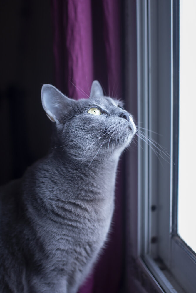 Photograph by Саиди Светлана