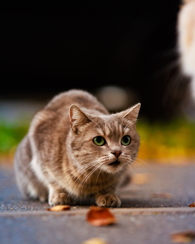 Photograph by Иван Павлов