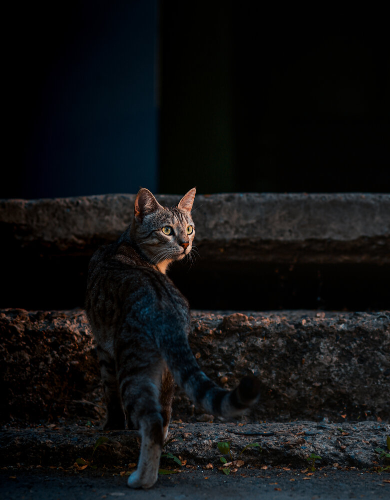 Photograph by Иван Павлов