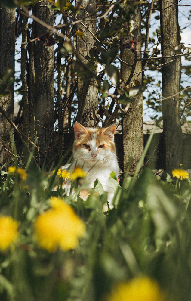 Photograph by Светлана Малькевич