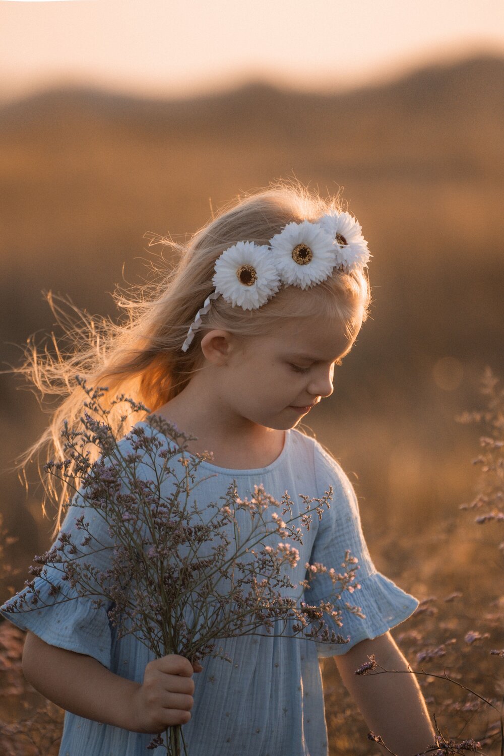 Photo #14053765