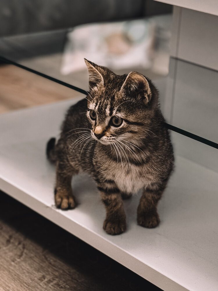Photograph by Анастасия Калина