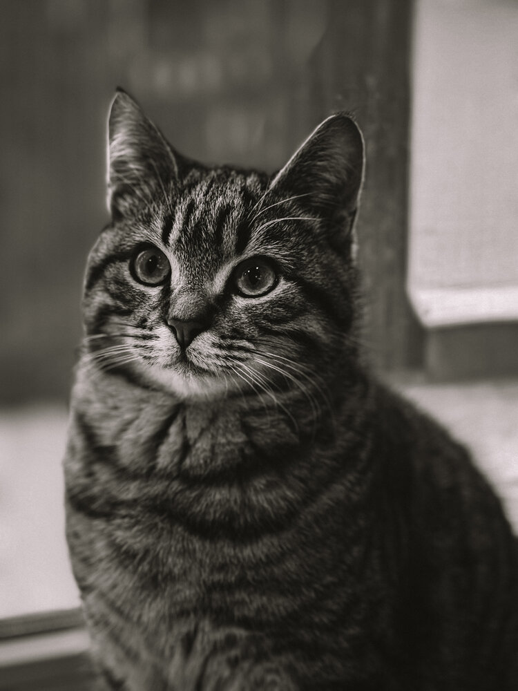 Photograph by Анастасия Калина