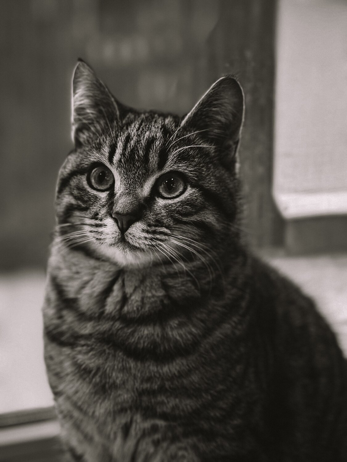 Photo #14053773