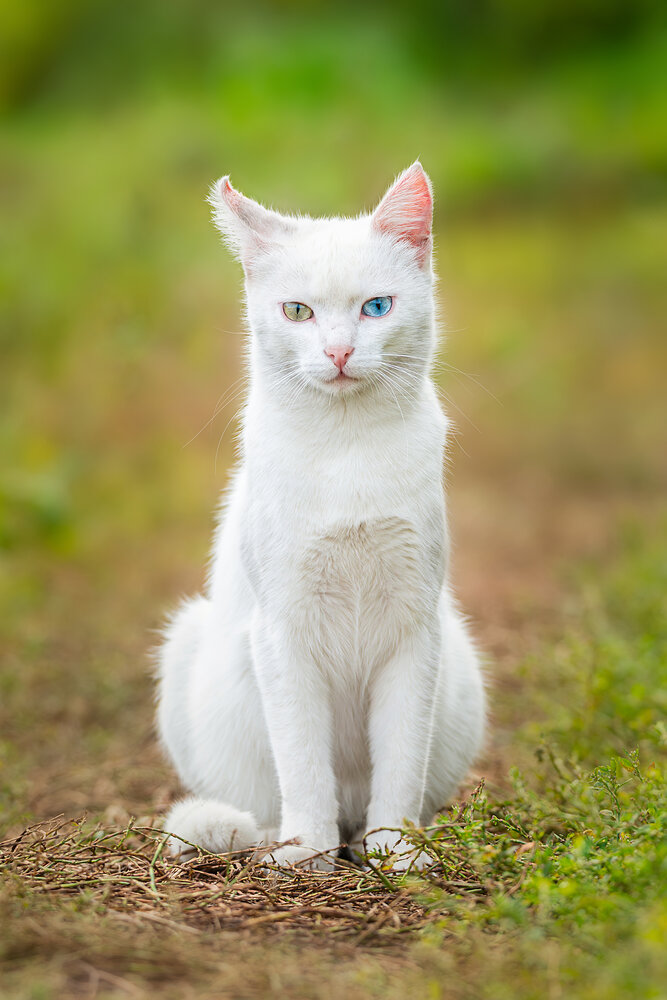 Photograph by Корнеев Алексей