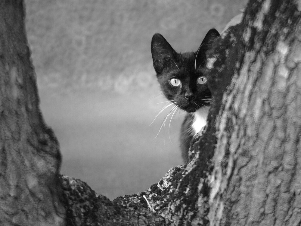 Photograph by Павел Калюжко