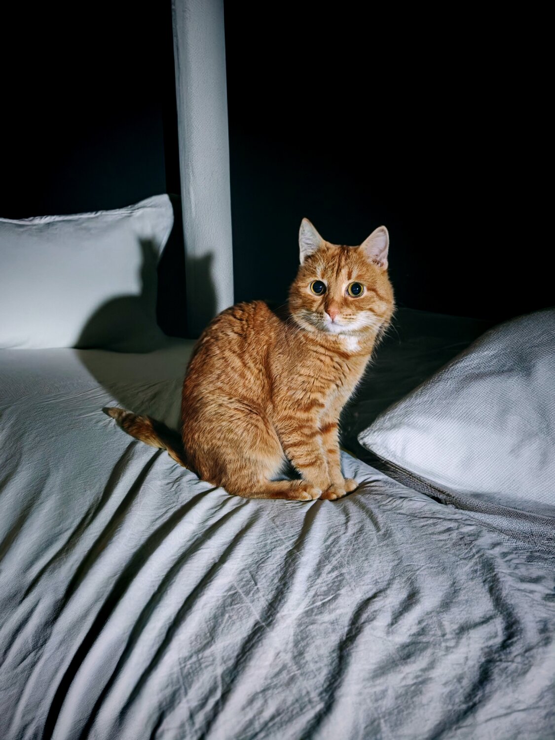 Фотография #14053832