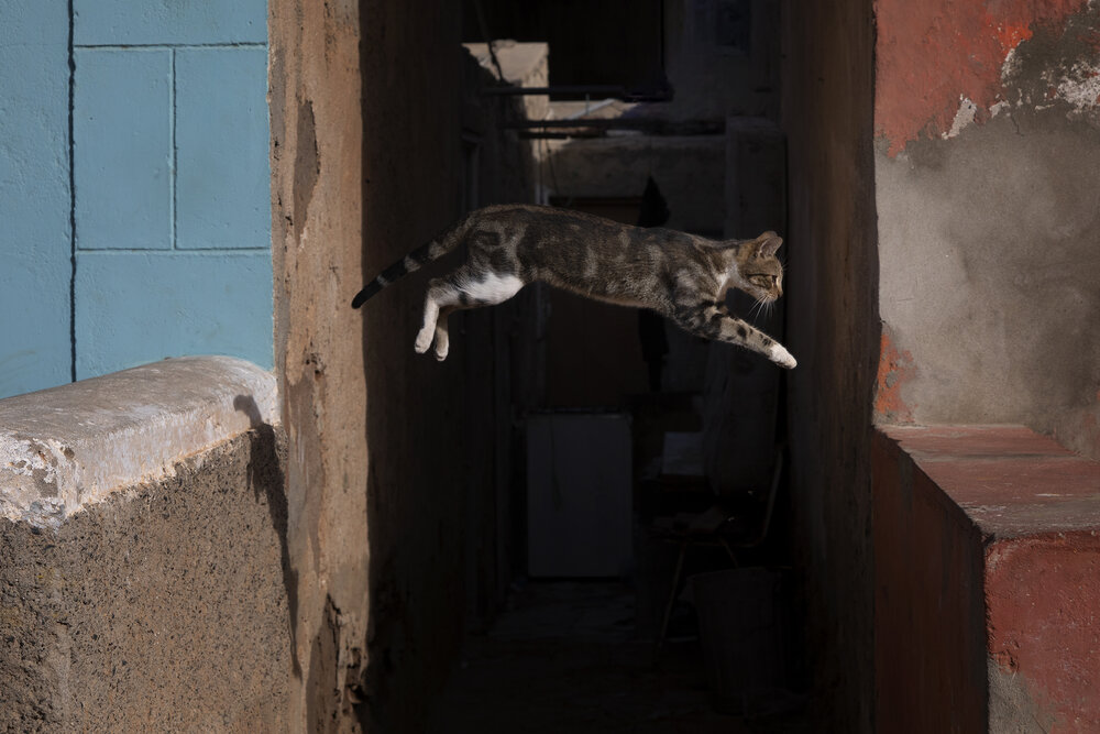 The Jump