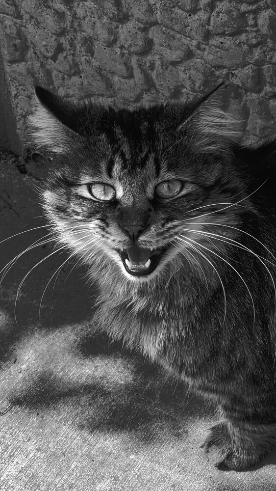 Photograph by Gürsel Düzgüner