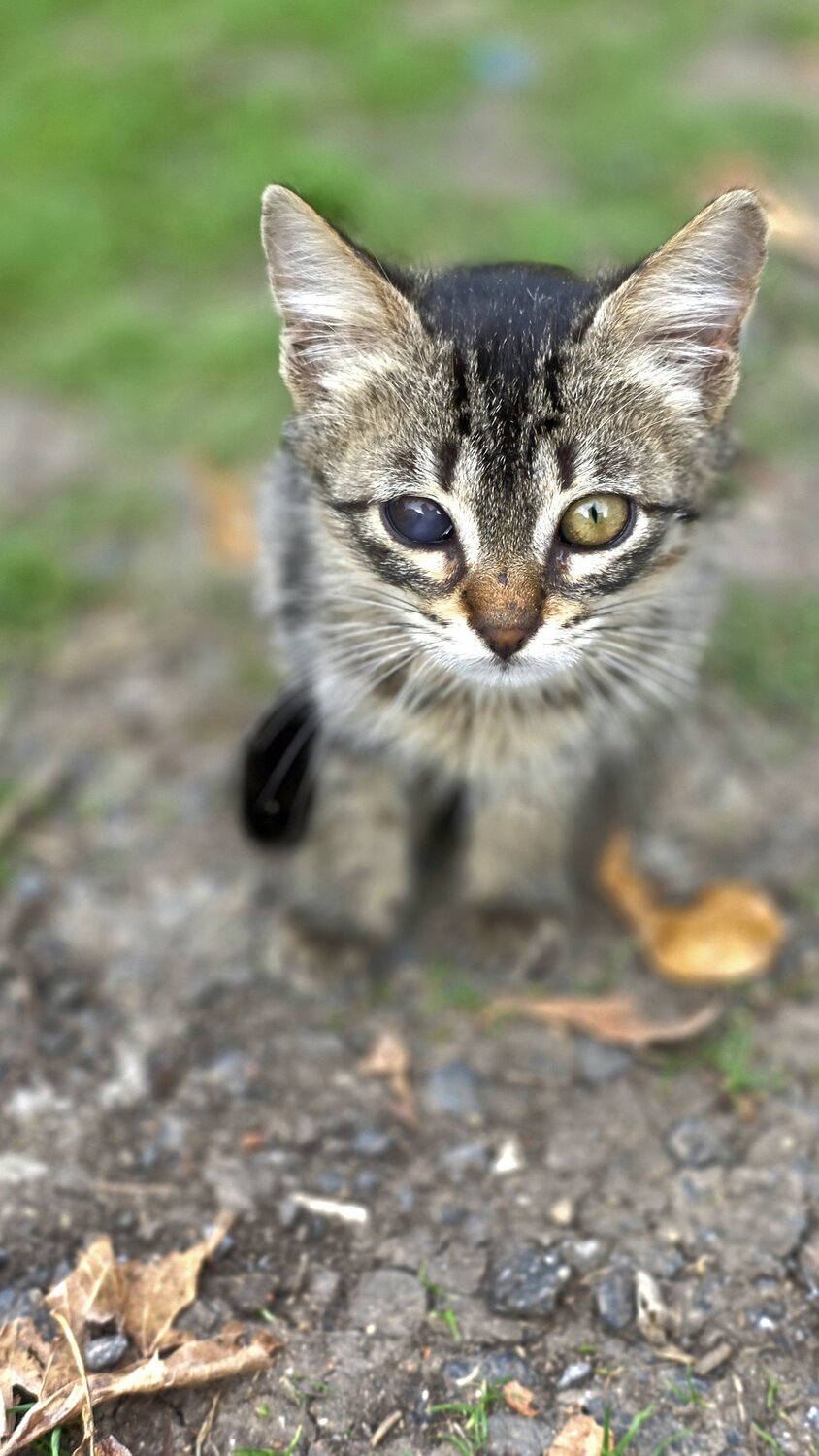 Photo #14053897