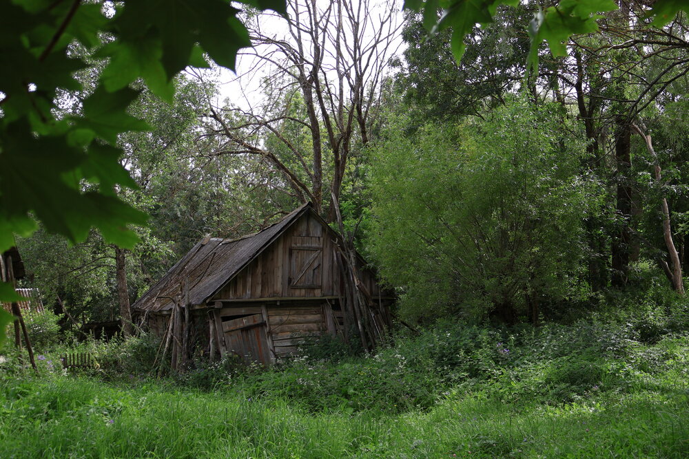 Photograph by Оксана Костенко