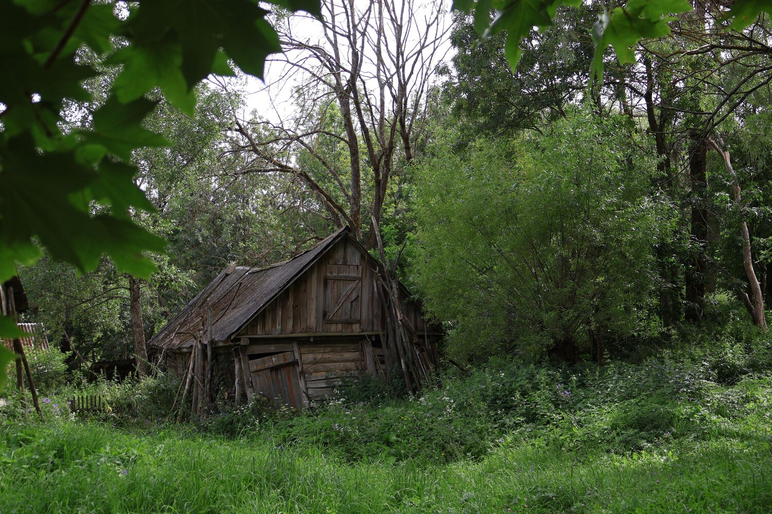 Photo #14053936