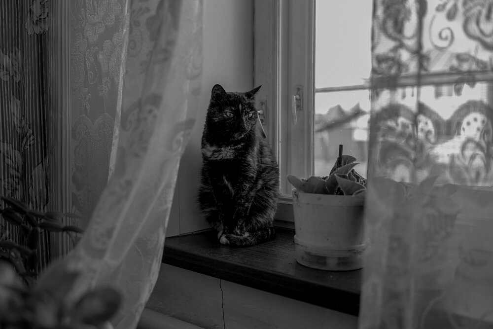 Photograph by Наталья Сафронова