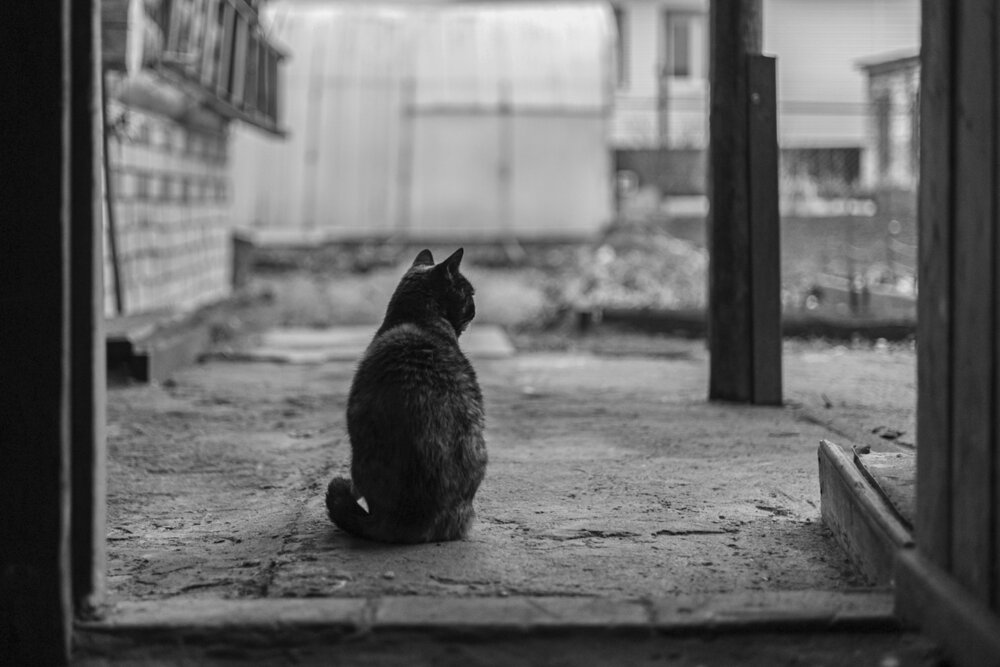 Photograph by Наталья Сафронова