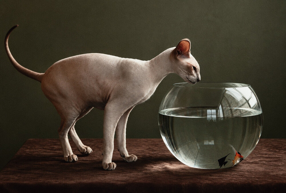 Photograph by Galina Sa