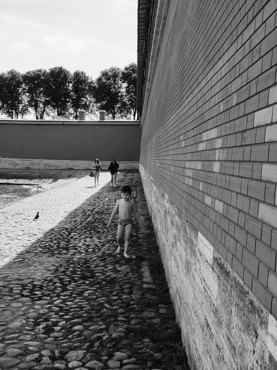 Photo #14053962