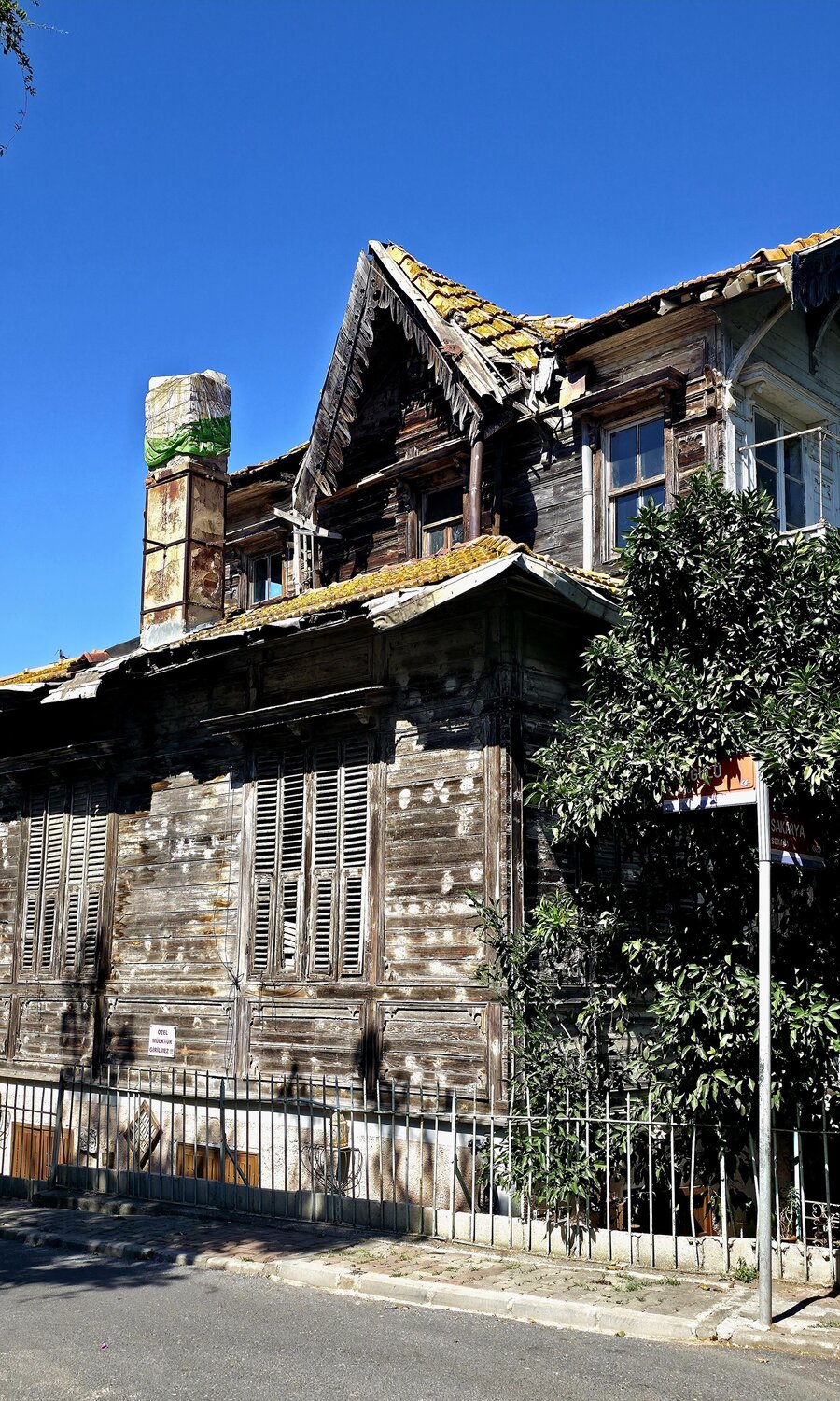 Photo #14053977