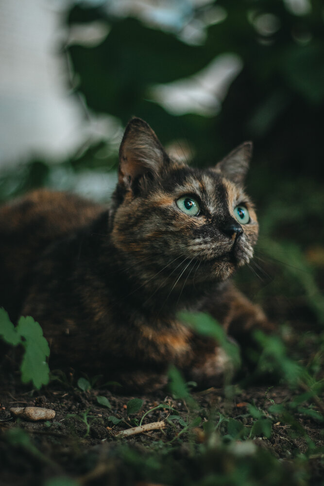 Photograph by Алина Железкина