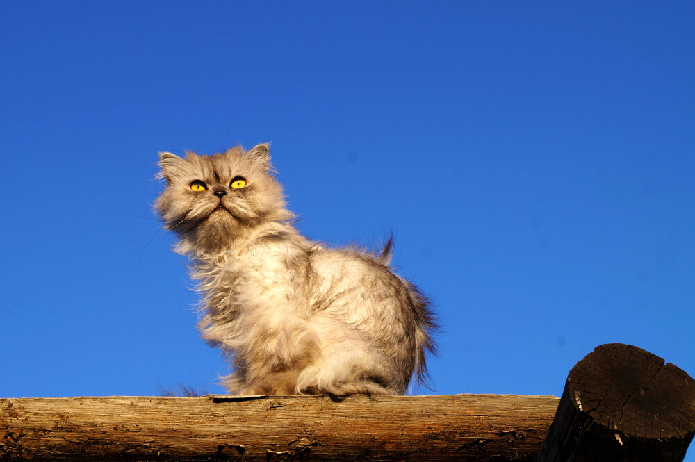 Photograph by Татьяна Мишустина