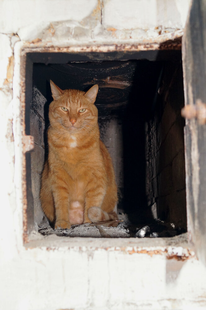 Photograph by Татьяна Мишустина