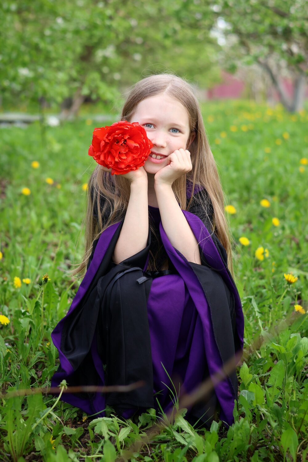 Photo #14054023
