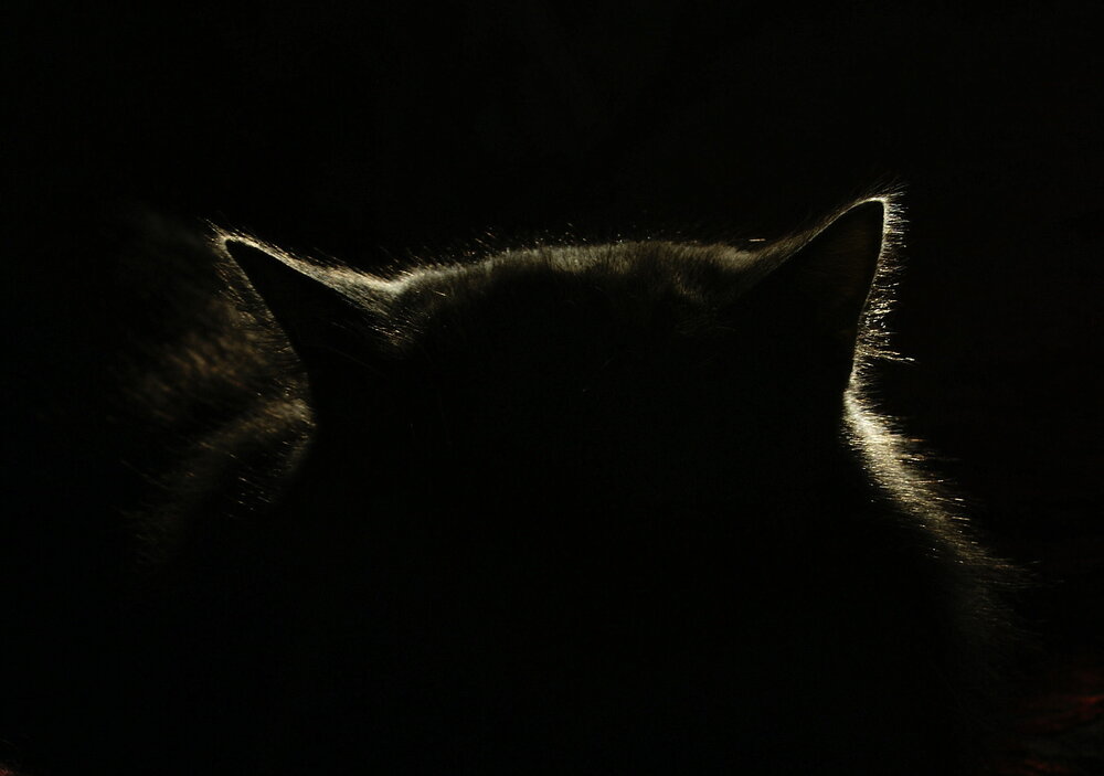 Photograph by Павел Москаленко
