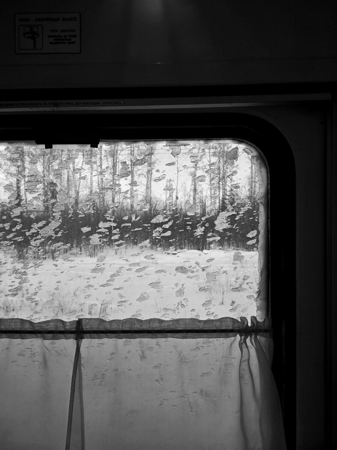 Photo #14054109
