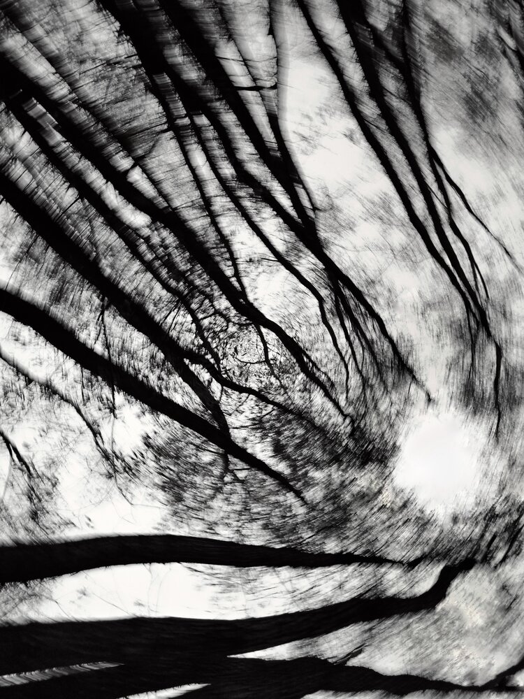 Photograph by Наталья Силантьева