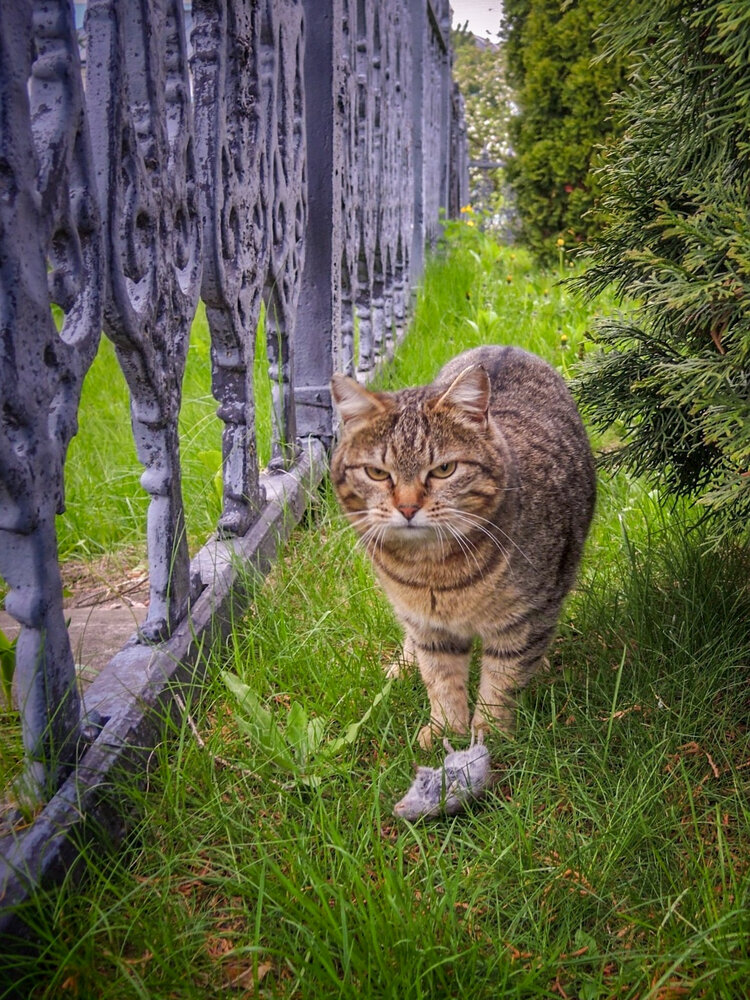 Фотография автора Марина-Алекс Марахова